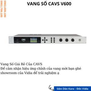 Vang số CAVS V600