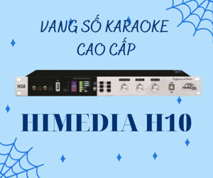 Vang Số Himedia H10