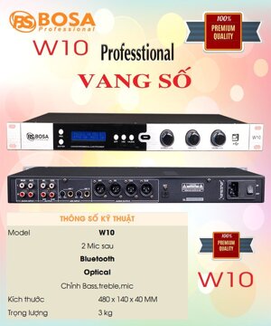 Vang số karaoke Bosa W10