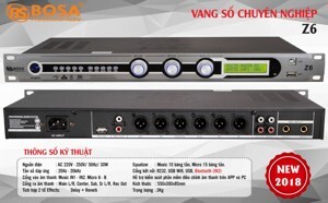 Vang số karaoke chống hú Bosa Z6