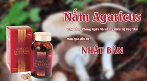 Viên thể nấm loại bỏ độc tố agaricus mycelia okinawa