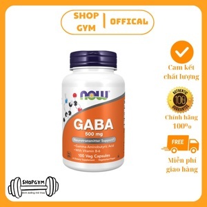 Viên uống bổ não giảm stress Now Gaba 500mg chai 100 viên
