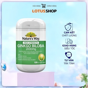 Viên uống bổ não Nature's Way Ginkgo Biloba 2000mg 120 viên