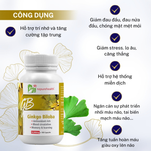 Viên uống bổ não Nzpurehealth Ginkgo Biloba 200mg