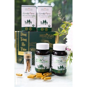 Viên uống đông trùng hạ thảo Cordyceps Sinensis Capsule 60 viên