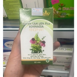 Viên Uống Giảm Viêm Họng, Viêm Phế Quản Xuyên Tâm Liên Plus Echinacea Kingphar 60 Viên