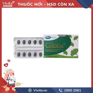 Viên uống hỗ trợ chức năng não bộ Giloba