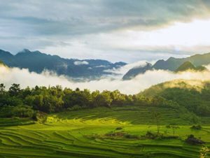 Việt Nam Các Vùng Văn Hoá - Thanh Hoá Nghìn Xưa Lưu Dấu