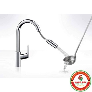 Vòi bếp Focus Hansgrohe 31815000