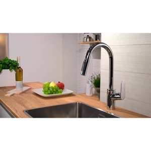 Vòi bếp Focus Hansgrohe 31815000