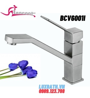 Vòi bếp nóng lạnh Bancoot BCV 6001i