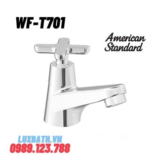 Vòi chậu 1 đường lạnh American Standard WF-T701