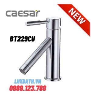 Vòi chậu Caesar BT229CU