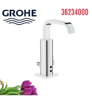 Vòi chậu Grohe 36234000