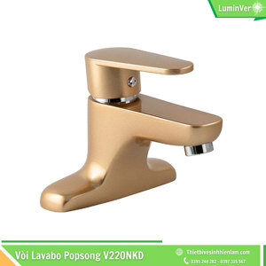 Vòi chậu nóng lạnh Brasler V220NKD