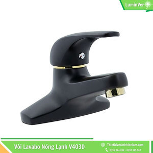 Vòi chậu nóng lạnh Brasler V403D