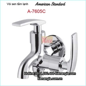 Vòi lạnh American-WIL A-7605C