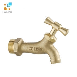 Vòi Lạnh Gắn Tường CAESAR W035 (Ø27)