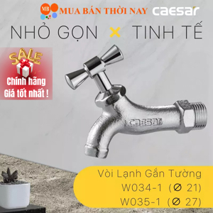 Vòi Lạnh Gắn Tường Xi Ceasar W034-1