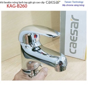 Vòi rửa lavabo nóng lạnh Caesar B260C