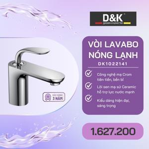 Vòi lavabo nóng lạnh D&K DK1022141