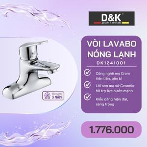 Vòi lavabo nóng lạnh D&K DK1241001