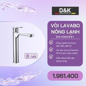 Vòi lavabo nóng lạnh D&K DK1392001