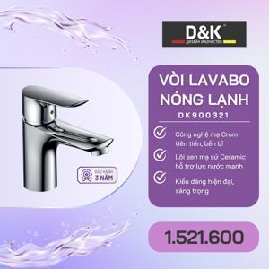 Vòi lavabo nóng lạnh D&K DK900321