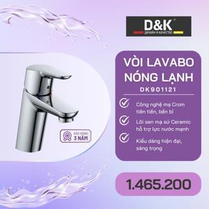 Vòi lavabo nóng lạnh D&K DK901121