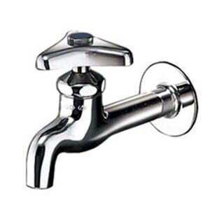 Vòi nước Toto T23BNR13C