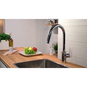 Vòi rửa bát Hansgrohe Focus 240