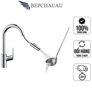 Vòi rửa bát Hansgrohe Focus 240