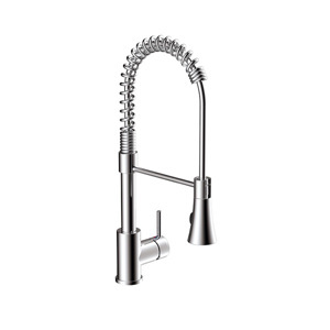 Vòi rửa bát Kaiztone KIT K80219AG