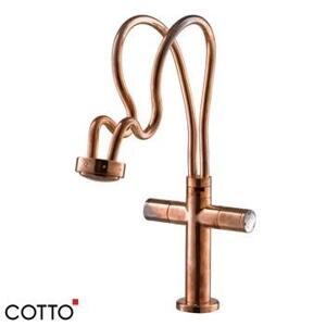 Vòi rửa bát nóng lạnh Cotto CT2088C25ST#CUO