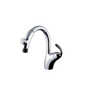 Vòi rửa bát nóng lạnh dây rút Toto TKN34PBTA