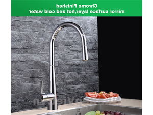 Vòi rửa bát Roslerer RL-168