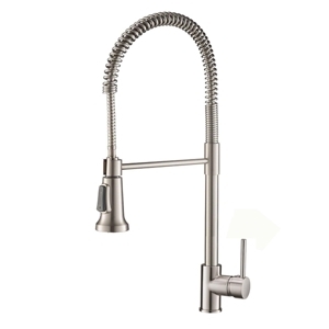 Vòi rửa chén Hàn Quốc lò so rút dây Ranox RN2221