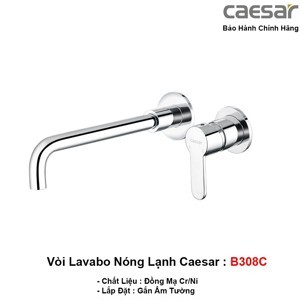 Vòi rửa tay nóng lạnh Caesar B308C