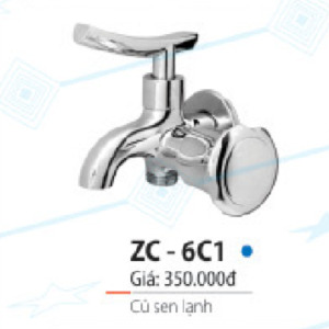 Vòi sen lạnh Zico ZC-6C1