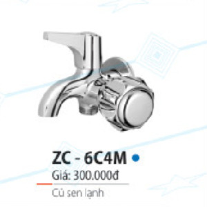 Vòi sen lạnh Zico ZC-6C4M