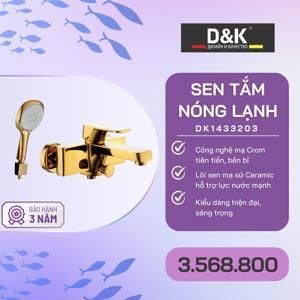 Vòi sen tắm nóng lạnh D&K DK1433203
