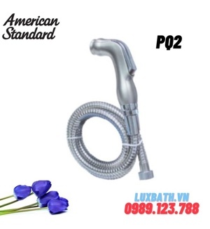 Vòi xịt vệ sinh American Standard PQ2