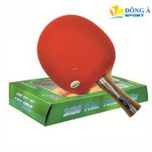Vợt bóng bàn 729 - 2020