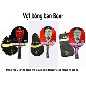 Vợt bóng bàn Boer S03