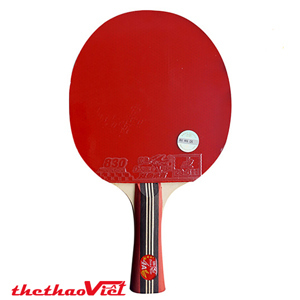 Vợt bóng bàn Double Fish DF-4AC