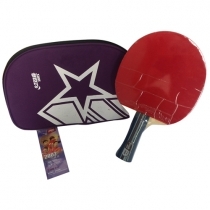 Vợt bóng bàn mút DHS-2002