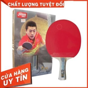 Vợt bóng bàn mút DHS-6002