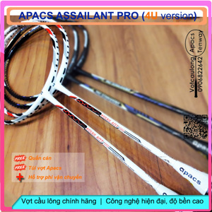 Vợt cầu lông Apacs Assailant Pro