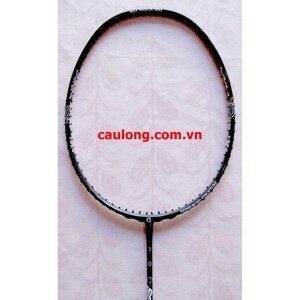 Vợt cầu lông Apacs Stern 200