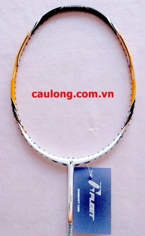 Vợt cầu lông Fleet Dura FT5500